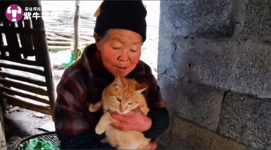  蓉二的奶奶还有一起生活的大橘猫