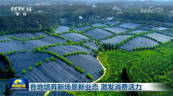 各地培育新场景新业态 激发消费活力