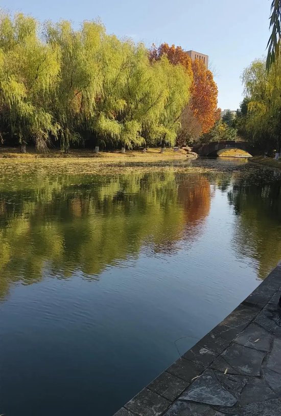 大学女生校内溺亡，同学通过手机定位发现“她在水里” 家属：夜间参加游戏时出事，校方提供监控只看到“水的波纹在动”