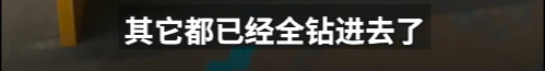 app软件介绍通用