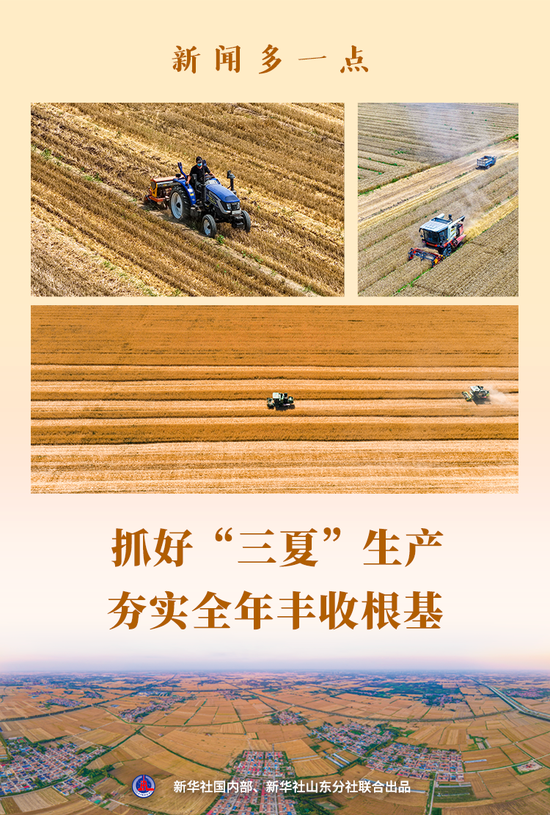 新闻多一点｜抓好“三夏”生产 夯实全年丰收根基