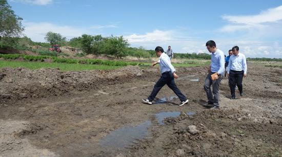 督察组现场检查乌裕尔河国家级自然保护区生态环境问题整改情况。
