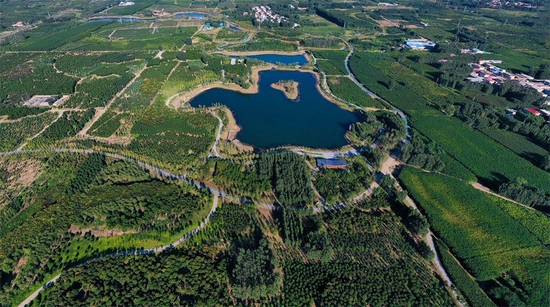 雄安新区千年秀林(2022年9月6日摄,无人机照片).新华社发