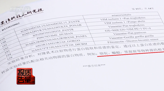 「万福借包子救人？这剧最大的骗局，是把王阳塞进片头充门面」
