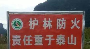 美国消防队员:美国任由山火烧也没死这么多人 中国人不专业吗?