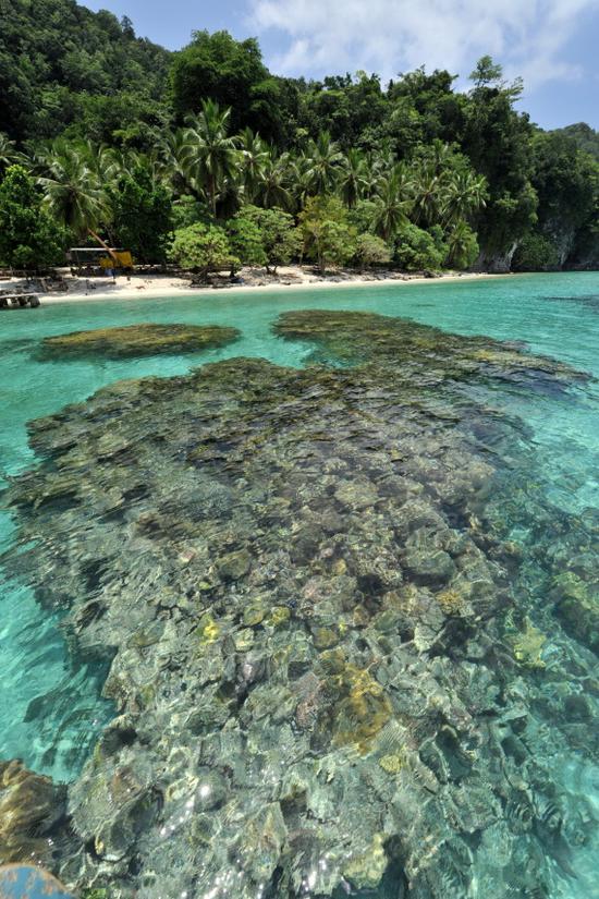 这是2013年11月1日拍摄的所罗门群岛东伦内尔岛卡格瓦海港附近海面下的礁石。新华社记者高健钧摄