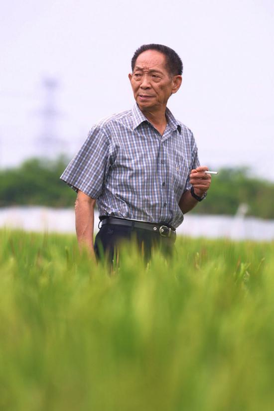 袁隆平的"遗愿"