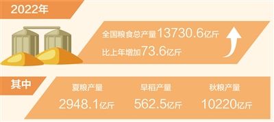 2022年全国粮食产量稳中有增