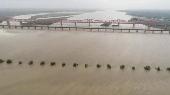 △从临河广场上空,可以远眺到见证新中国铁路变迁的三座桥。从上到下依次是郑焦城际铁路黄河大桥、京广铁路黄河大桥(已退役)、郑州黄河铁路桥(已拆除)。(央视记者谢岩鹏拍摄)