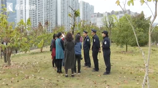 22只宠物11平台直播狗相继死亡 同一个特征让警方