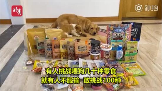 视频|吃辣椒、跳跳糖……宠物狗被强迫当大胃王惹怒网友