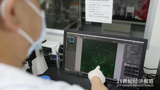 图:陈瑶生团队建立了国内生猪种源数据中心和生猪育种基因库