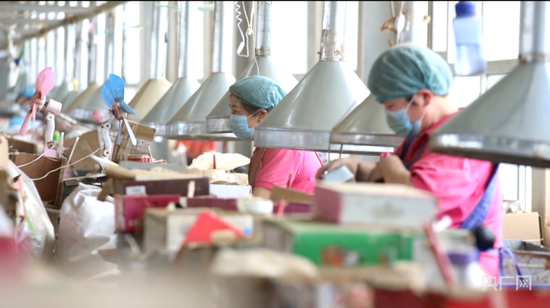 艾草在南阳已形成规模化生产（央广网发 张惟一 摄）