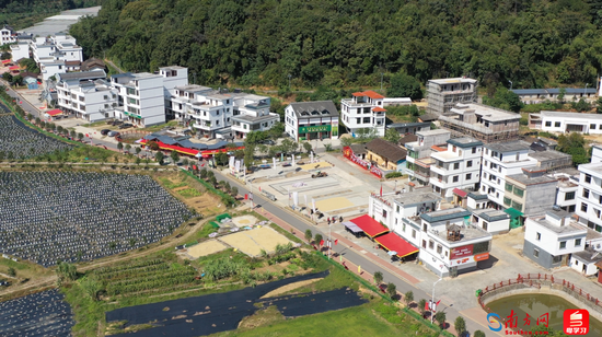 连樟村崭新的房子错落有致，村道干净整洁。