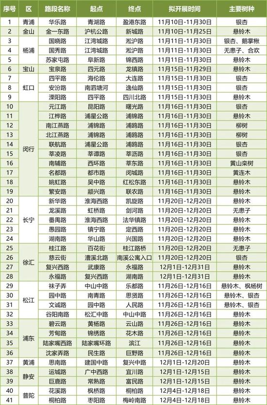 上海今年41条落叶不扫景观道公布 其中2条明天就