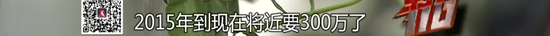 突发！航班落地后撞上机场廊桥 东航致歉v3.2.3 官方安卓版