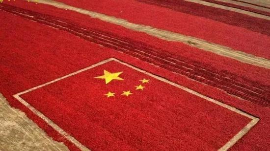 春天已来 加油中国