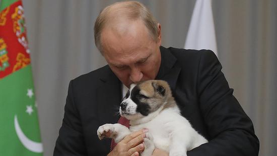 土库曼斯坦总统送给普京一只牧羊犬。（今日俄罗斯）