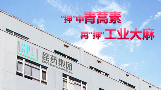 青蒿素概念股:跟风买“青蒿素概念股”的 知道自己投资的是啥吗 “押”中青蒿素,再“押”工业大麻,昆药集团还能有几板