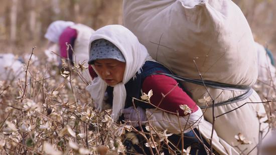 花开时节热播背后主旋律更要有真情实感