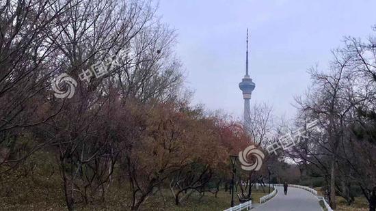 今明天北京气温稳学警狙击国语步回升 白天最高