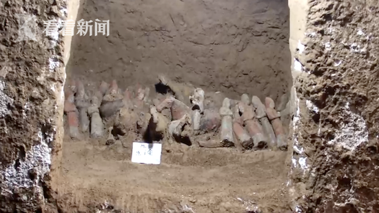 太平公主驸马薛绍墓墓室已毁 专家：并非被盗墓