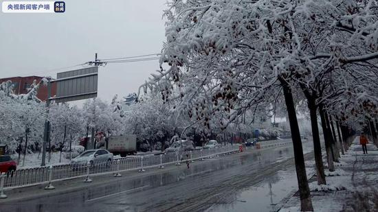 山东迎来大范围降雪 部分高速公路临时关闭