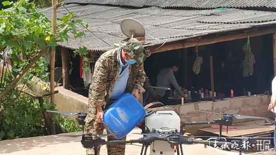蝗虫大军入境波及云南3州5县 未来几日或扩散蔓