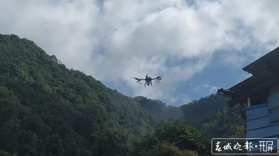 蝗虫大军入境波及云南3州5县 未来几日或扩散蔓