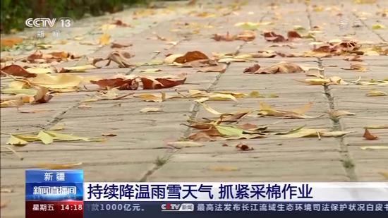 央视|降雨歇了一天又回来了！南北方都开始新一轮降雨降温