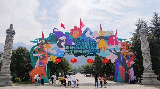 111亿元！1474万人次！