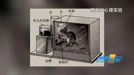 疯狂的盲盒背后,隐秘着哪些玄机?