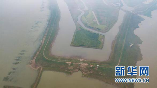 "黑老大"14年半刑期只坐牢不到7年 一出狱就暴