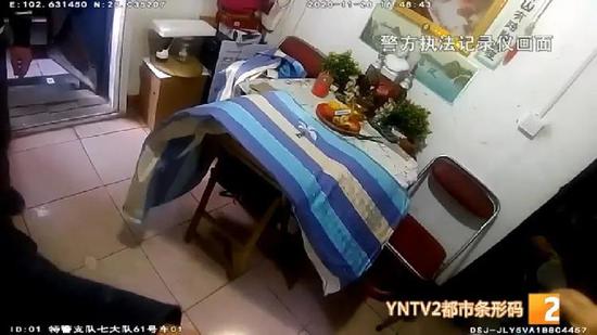 柴鸡蛋哪个肉多 支持说明