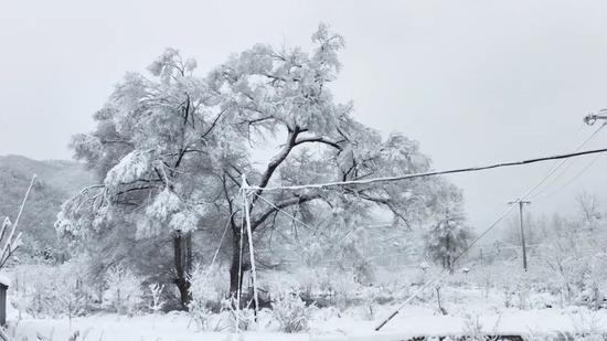 怀柔区喇叭沟门满族乡雪景 蒋嘉琦/摄