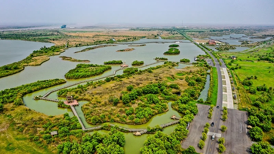 2021年5月13日拍摄的山东黄河三角洲国家级自然保护区景色（无人机照片）。