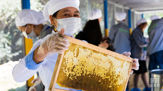 △湖北宜昌，蜂蜜是当地的富民产业之一。（图/视觉中国）