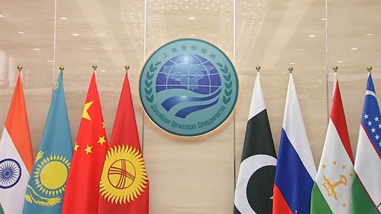 上合之光_新浪新闻