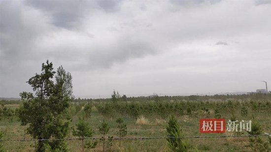 庞大集团证券索赔案新进展：石家庄开庭在即，长春立案后仍待推进