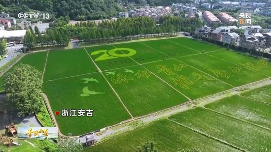 “两山”理念提出二十周年：绿水青山千秋画 万里江山共此卷