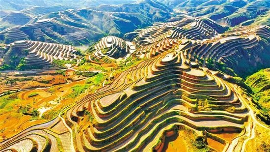 绥德:激活集体经济“一池春水”