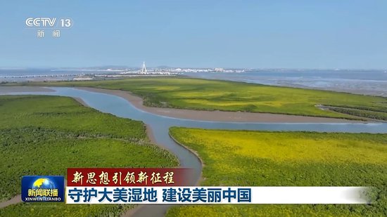 新思想引领新征程丨守护大美湿地 建设美丽中国
