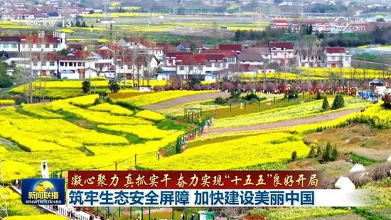 【凝心聚力 真抓实干 奋力实现“十五五”良好开局】筑牢生态安全屏障 加快建设美丽中国