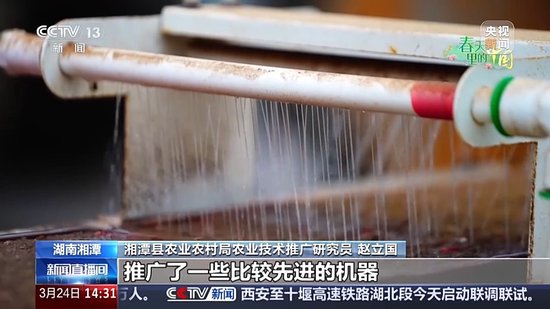 智慧育秧、稻田咖啡、沙漠新绿 各地抢抓农时春耕忙