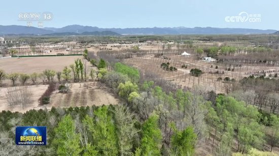让中国式现代化的底色更加亮丽——习近平总书记参加首都义务植树活动时的重要讲话在广大干部群众中引发热烈反响