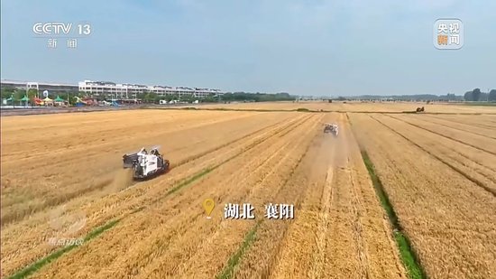 焦点访谈丨战阴雨 抢农时 湖北、河南、山东三大小麦主产区这样保丰收