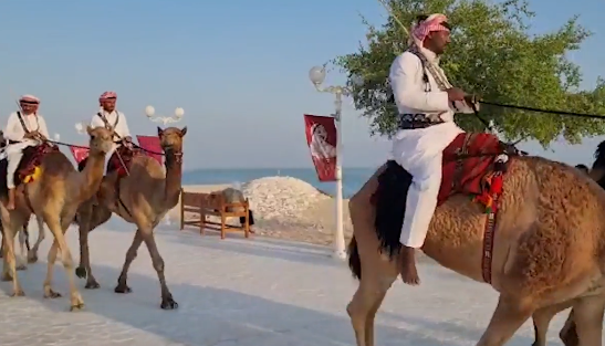 英格兰队世界杯下榻酒店外 出现骆驼安保巡逻队