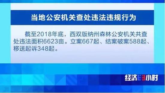  打击整治破坏森林资源违法违规行为