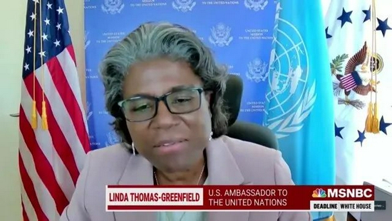 美国常驻联合国代表琳达·托马斯-格林菲尔德接受采访