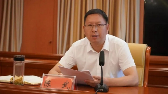 纪检监察机关进行严肃追责问责,其中出生于1982年的随县县委书记陈武
